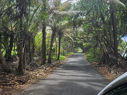 The Kapoho Kalapana Road (137) used to be paved with red cinder gravels, and although it is now ashphalt many locals still call it 