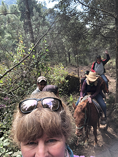 Cerro Pelon Butterfly Sanctuary 