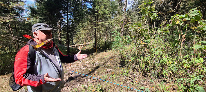 Cerro Pelon Butterfly Sanctuary