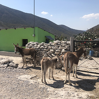 Route to Grutas Tolantago